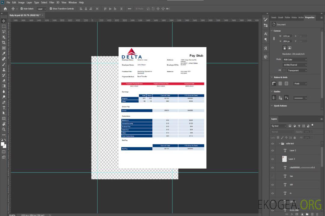 Bulletin de paie de la compagnie aérienne Delta Air Lines aux États-Unis template Bulletin de paie de la compagnie aérienne Delta Air Lines aux États-Unis template